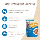 Влажный корм Мнямс На каждый день Кусочки в соусе с форелью для красивой шерсти кошек 85 г - Фото 5