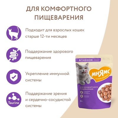 Влажный корм для кошек «Мнямс На каждый день», кусочки в соусе с ягнёнком, для комфортного пищеварения, 85 г