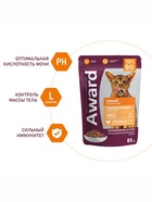 Влажный корм AWARD Urinary для профилактики мочекаменной болезни у взрослых кошек, кусочки в соусе с курицей, 85 г - Фото 4