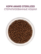 Сухой корм AWARD Sterilized для вз-х стерил. кошек с инд/кур. (клюква и цикорий) 400г 10899847 - фото 825297