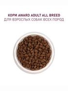 Сухой корм AWARD для вз-х собак всех пород с  ягн/инд/добавлением яблока и черники 2кг - Фото 6