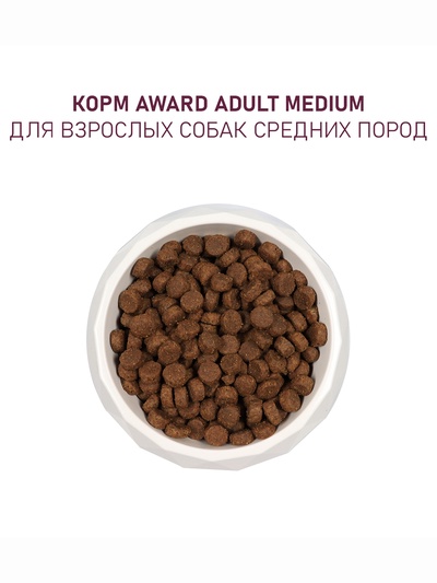 Сухой корм AWARD для вз-х собак крупных пород с кур/инд/тыква и шиповник 12 кг