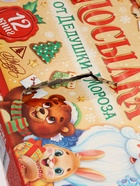 УЦЕНКА Подарок на Новый год для детей «Посылка от Дедушки Мороза», большой новогодний подарочный набор книг 12 шт., письмо деду морозу, адвент - брод�... - Фото 4