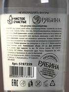 Набор «Абсолютно»: гель для душа во флаконе водка 250 мл и стопка с пулей, Чистое счастье 10879575 - фото 16864743
