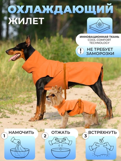 Жилет охлаждающий для животных, размер 55 (ДС 55 см, ОШ 62 см), оранжевый