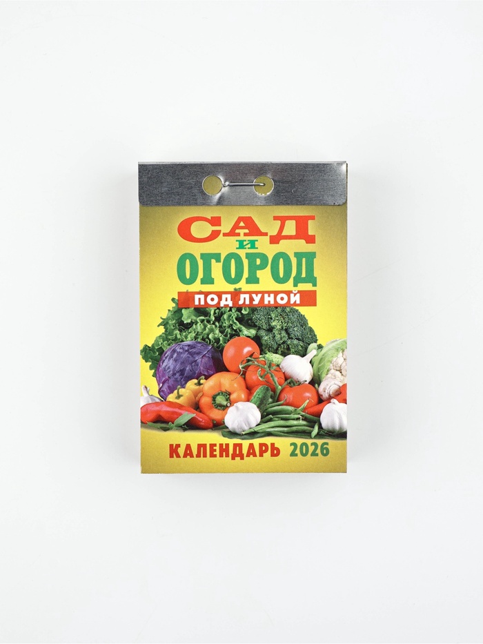 Календарь отрывной