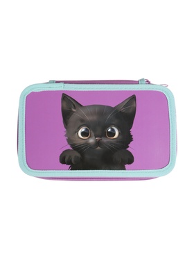 Пенал 3 секции, 125×205×55 мм, Calligrata 30П26/3 «Кот чёрный», ламинированный картон