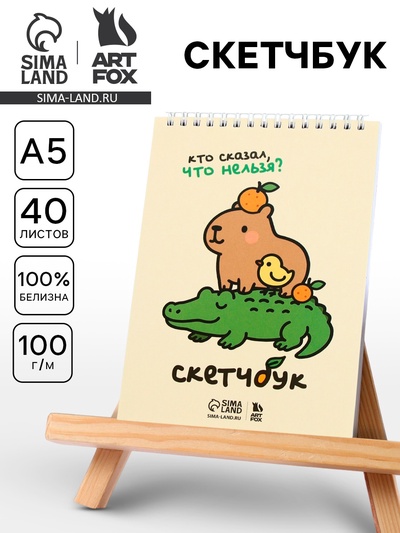 Скетчбук А5, 40 л. 100 г/м «Кто сказал, что нельзя?»