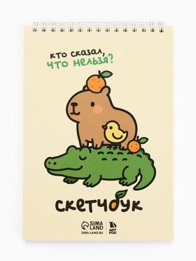 Скетчбук А5, 40 л. 100 г/м "Кто сказал, что нельзя?" (комплект 2 шт)