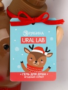 URAL LAB Милые Персы Набор фигурных гелей для душа, 2х300 10882914 - фото 16844250