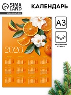 Календарь 2026 «Цитрус», А3 (10 шт) - фото 809082088