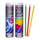 УЦЕНКА Карандаши 24 цвета, в металл тубусе, треугольные, деревянные, Пейзаж,МИКС 10912004