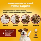 Сухой корм Pedigree для собак взрослых маленьких пород, говядина, 500 г - Фото 9