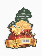 Ложка загребушка c камнем новогодняя «Ложка денежной удачи» - Фото 5