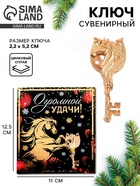Ключ сувенирный «Огромной удачи» 10858188 - фото 7955034