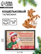 Кошельковая фигурка в коробке «Волшебный талисман», 5.4 х 3.6 см 10867296 - фото 7955056
