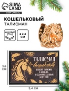 Кошельковая фигурка в коробке «Талисман волшебства», 5.4 х 3.6 см 10867297 - фото 7955064