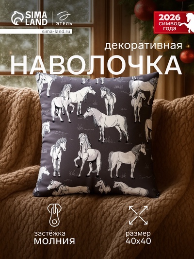 Наволочка декоративная «Этель. Black&White», 40×40 см, велюр