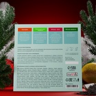 Подарочный набор чая «Машина», 24 пирамидки - Фото 2