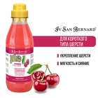 Шампунь Iv San Bernard Fruit of the Groomer Black Cherry для короткой шерсти с протеинами шелка 500 - Фото 1