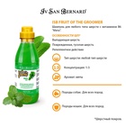 Шампунь Iv San Bernard Fruit of the Groomer Mint для любого типа шерсти с витамином В6 500 мл   1091 10911006 - фото 825715
