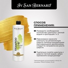 Шампунь Iv San Bernard Traditional Line Green Apple для длинной шерсти 1 л 10911021 - фото 825757
