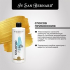 Шампунь Iv San Bernard Traditional Line Talc для щенков и котят 500 мл 10911036 - фото 825791