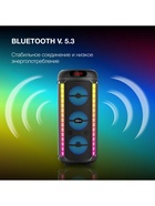 Минисистема Hyundai H-MC1221 черный 15Вт/FM/USB/BT/SD/MMC 10909137 - фото 16875063