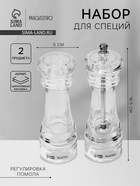 УЦЕНКА Набор для специй "Glace" мельничка с солонкой 13,7 см - фото 14868644