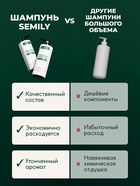 Шампунь для волос Semily для ежедневного применения, 1000 мл 10870151 - фото 16906253