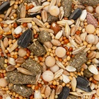 УЦЕНКА Корм Seven Seeds для хомяков, с орехами, 500 г - Фото 3