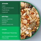 УЦЕНКА Корм Seven Seeds для хомяков, с орехами, 500 г - Фото 4