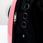 УЦЕНКА Рюкзак для переноски кошек «Кот учёный», с окном для обзора, 32×25×42 см, розовый - Фото 4