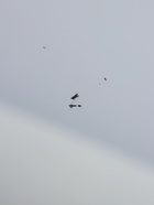 УЦЕНКА Зеркало настенное, в багете, 55,5х126 см - фото 14982597