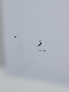 УЦЕНКА Зеркало настенное, в багете, 55,5х126 см - фото 14982598