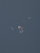 УЦЕНКА Зеркало настенное, в багете, 55,5х126 см - фото 14982589