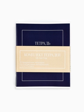 Тетради предметные, 48 л., набор из 12 шт., блок №1 «Минимализм»