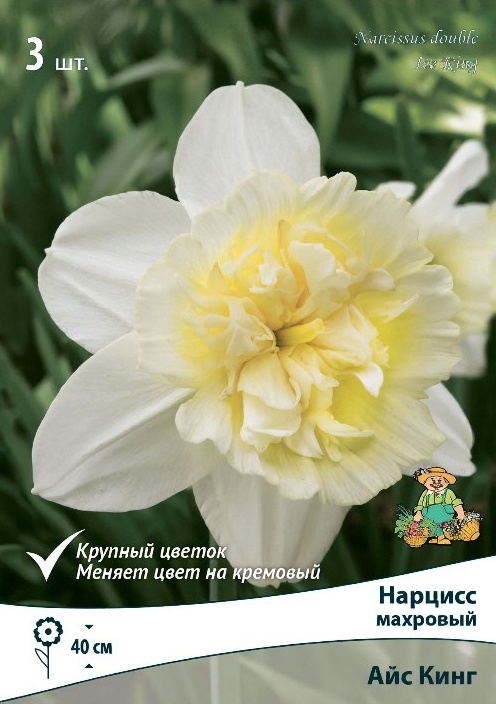 Нарцисс крупнокорончатый «Весенняя палитра», смесь окрасок, 15 шт., Осень 2026, «ПОИСК»