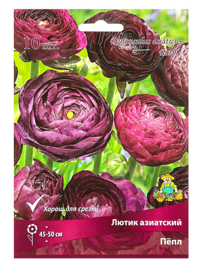 Лютик азиатский «Пёпл», 10 шт., Осень 2026, «ПОИСК»