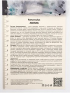 Лютик «Романс Сан-Тропе», р-р 7/8, 10 шт., Весна 2026, «ПОИСК» - Фото 3