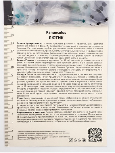 Лютик «Романс Сан-Тропе», р-р 7/8, 10 шт., Весна 2026, «ПОИСК»