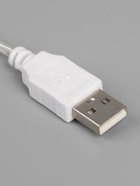 УЦЕНКА Неоновая вывеска «Динозавр», 24×24 см, батарейки ААх3, USB, свечение зелёное - Фото 9