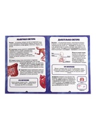 УЦЕНКА Набор для опытов «Строение тела», светящееся с мягкими органами - Фото 12