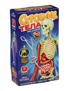 УЦЕНКА Набор для опытов «Строение тела», светящееся с мягкими органами - Фото 13