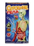 УЦЕНКА Набор для опытов «Строение тела», светящееся с мягкими органами - Фото 14