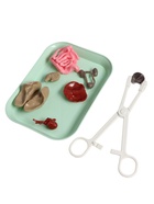 УЦЕНКА Набор для опытов «Строение тела», светящееся с мягкими органами - Фото 8