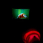 УЦЕНКА Проектор «Юный исследователь», со слайдами, со световыми эффектами - Фото 8