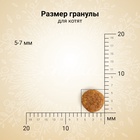 Сухой корм CRAFTIA HARMONA для котят из курицы и рыбы 320 г - Фото 4