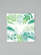 Салфетки бумажные однослойные «Узоры природы», 24х24 см, 50 шт (комплект 3 шт) - фото 60169330