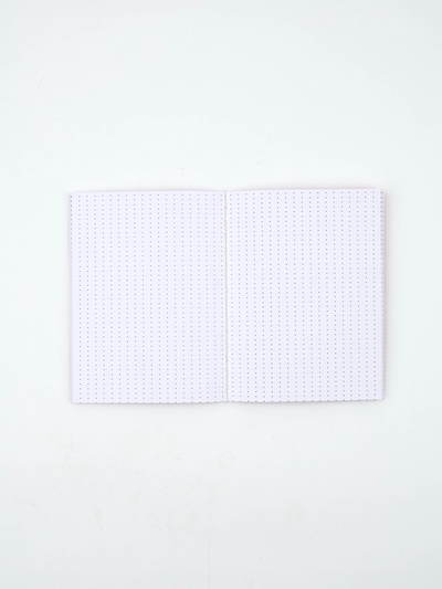 Ежедневник А6, 80 л. «Сленг»